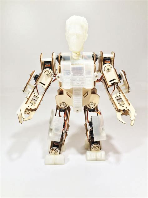 Build your own robotic cat: Petoi returns .